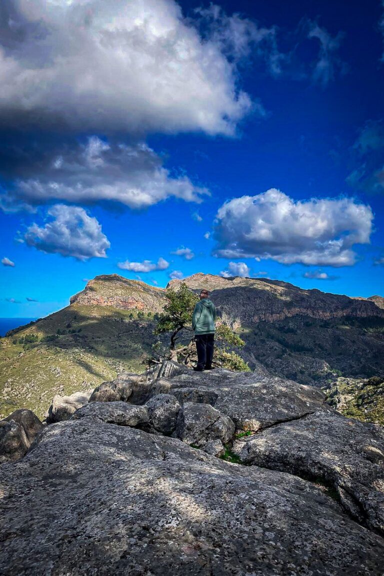 wp-17734994271746638379667768528341