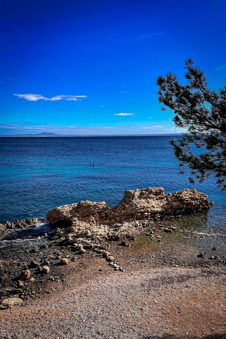 wp-17734994272043429298040435325784