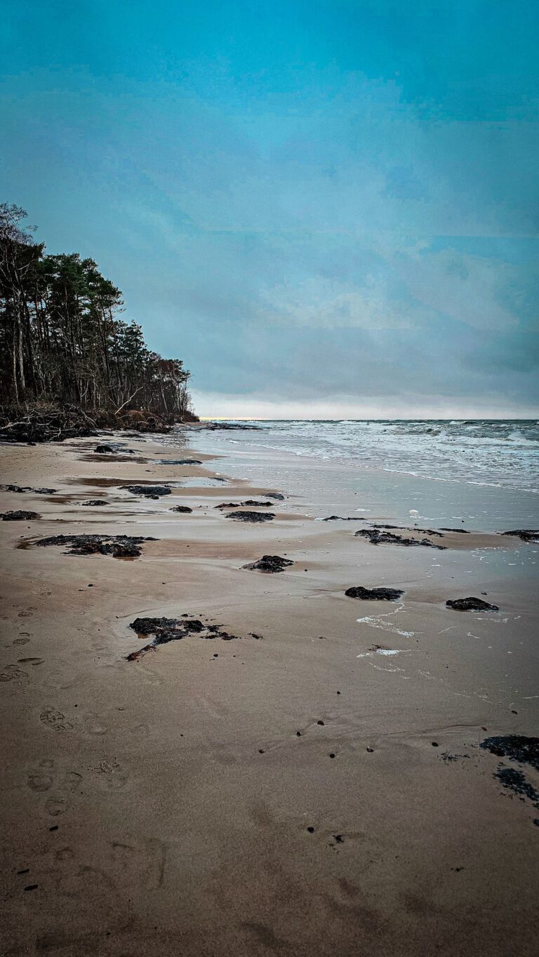 wp-17735029019167836358202231150121