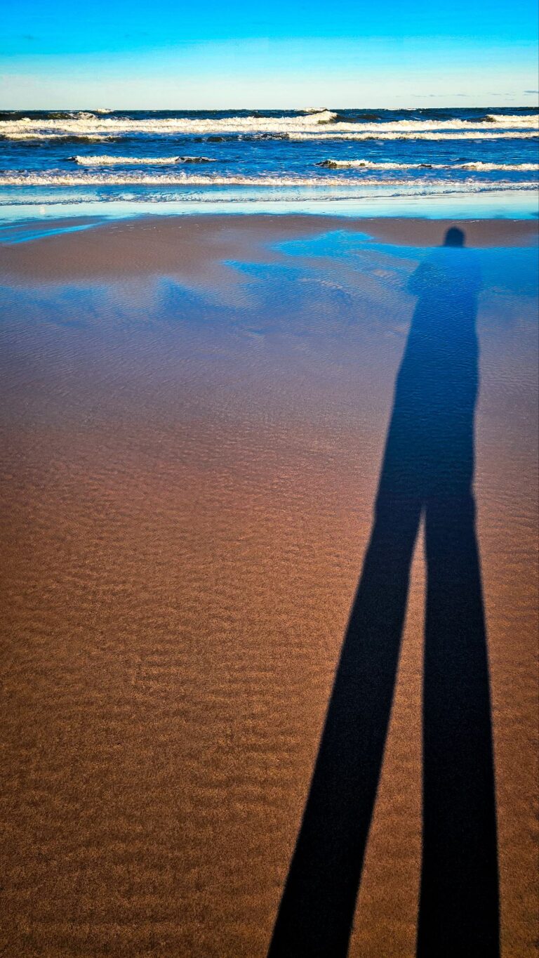 wp-17735029023004253806422302742448