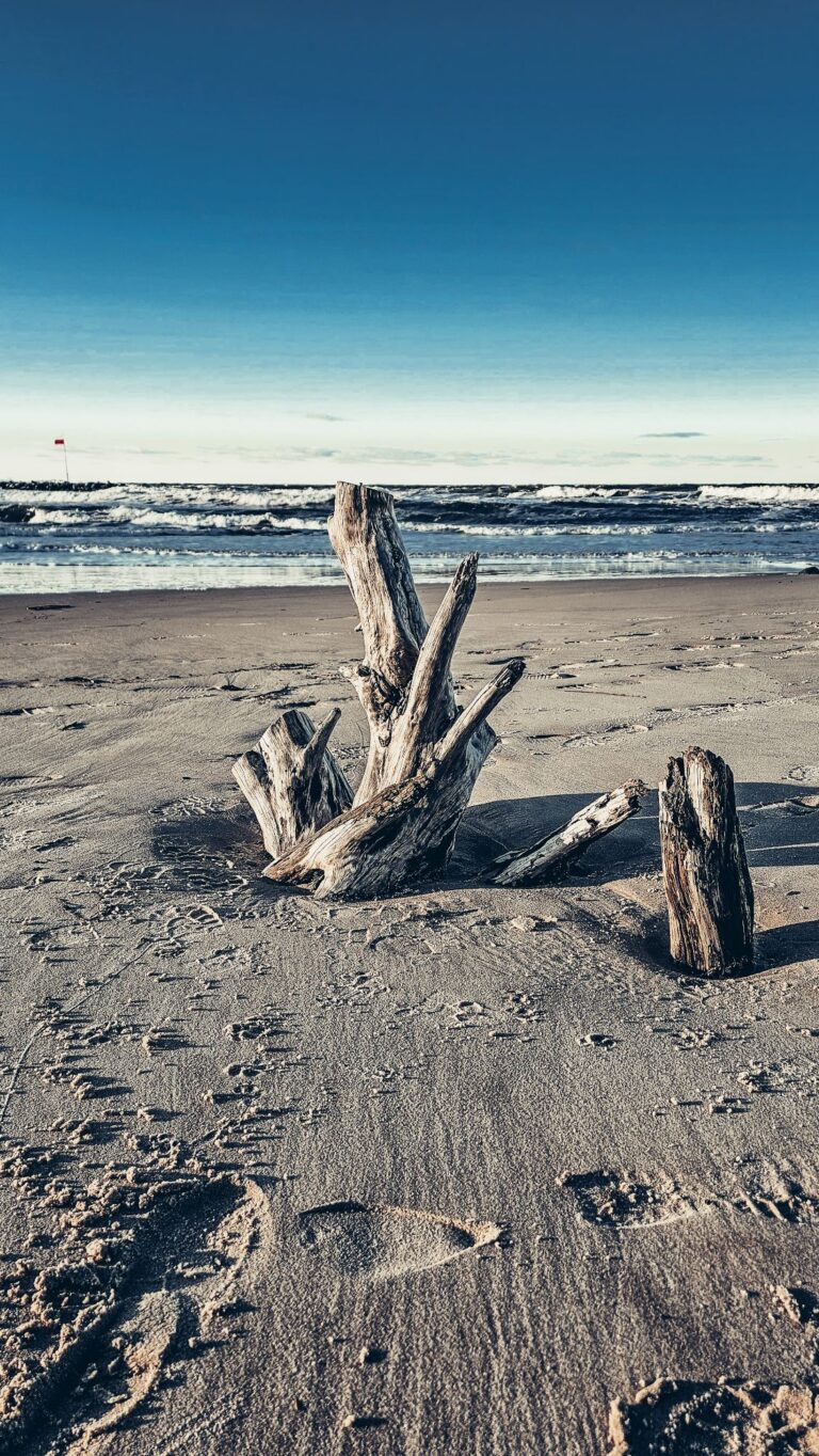 wp-17735029024146370672105022097054