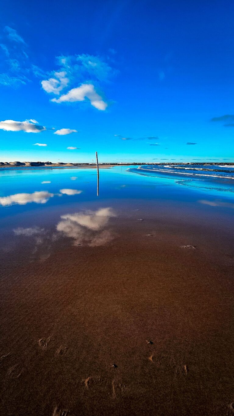 wp-17735029025231787584050577042378