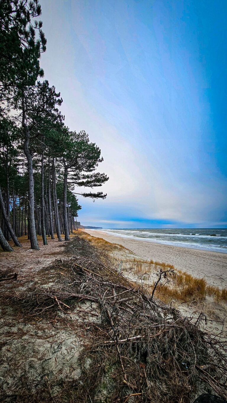 wp-17735029034967994983407303530308